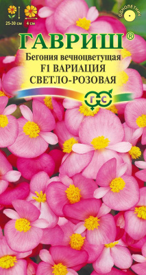 Бегония Вариация светло-розовая 5шт