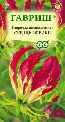 Глориоза Сердце Африки 3шт