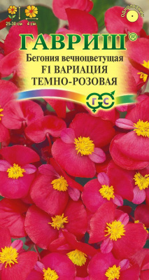 Бегония Вариация темно-розовая 5шт