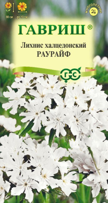 Лихнис Раурайф 0,1г халцедонский