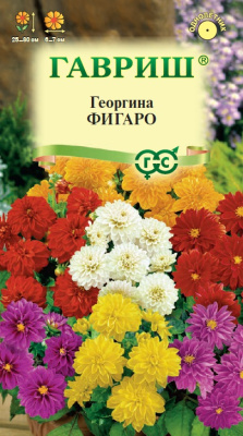 Георгина Фигаро смесь 7шт