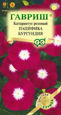 Катарантус Пацифика Бургундия 7 шт