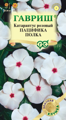 Катарантус Пацифика Полка 5 шт