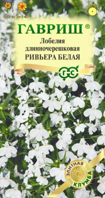 Лобелия Ривьера белая 4шт Лобелия Ривьера белая 4шт