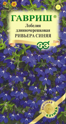 Лобелия Ривьера синяя 4шт