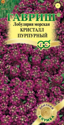Лобулярия Кристалл пурпурный 15шт Элитная клумба