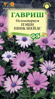 Остеоспермум Пэшн пинк шейдс 3 шт