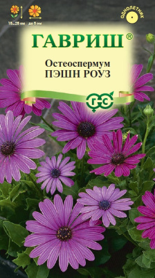 Остеоспермум Пэшн роуз 3 шт