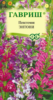 Пенстемон Энтони 0,1г
