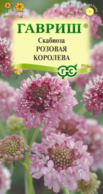 Скабиоза Розовая королева 6шт