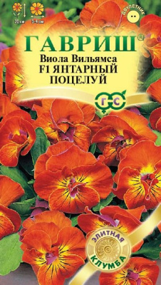 цВиола Янтарный поцелуй 5шт Элитная клумба