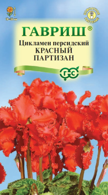 Цикламен Красный партизан 3 шт