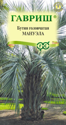 Бутия Мануэла головчатая 3шт