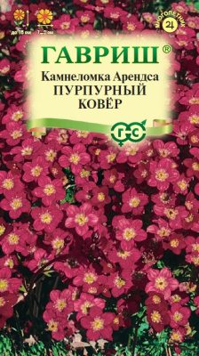 Камнеломка Арендса пурпурный ковер 0,01г