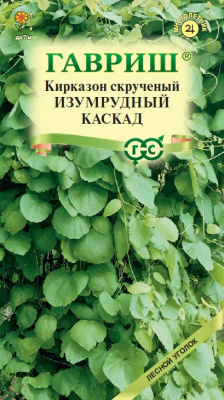 Кирказон Изумрудный каскад 3 шт
