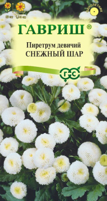 Пиретрум Снежный шар (девичий) 0,01г