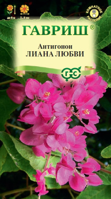 Антигонон Лиана Любви 5шт