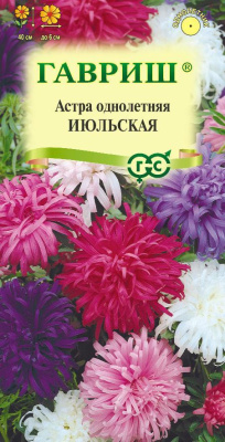 Астра Июльская 0,3г