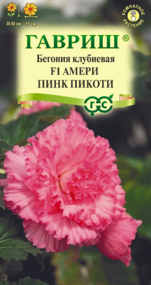 Бегония Амери пинк пикоти 4 шт.