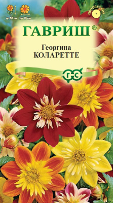 Георгина Коларетте 0,2г