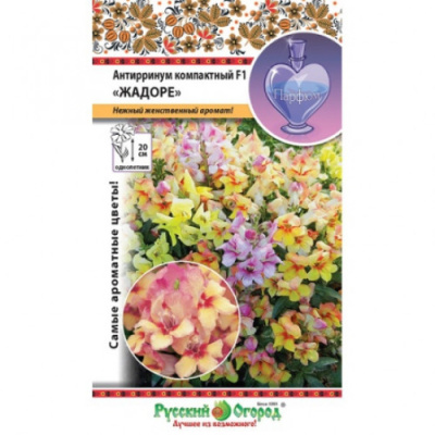 цАнтирринум Жадоре смесь 10шт