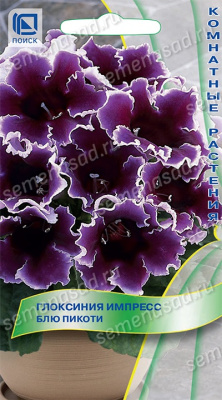 Глоксиния Импресс Блю пикоти 5шт