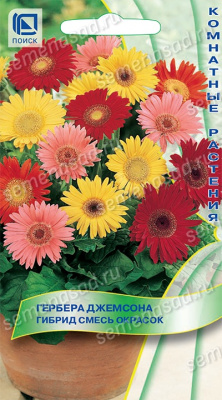 Гербера Джемсона смесь 10шт