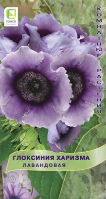 Глоксиния Харизма лавандовая 5шт