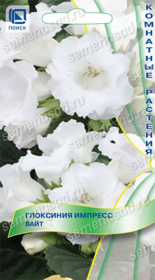 Глоксиния Импресс Вайт 5шт