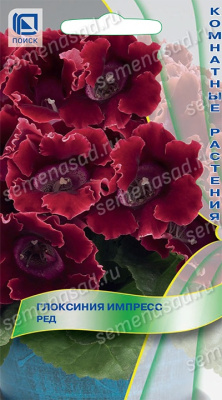 Глоксиния Импресс Ред 5шт