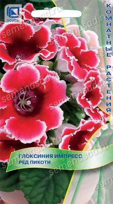 Глоксиния Импресс Ред пикоти 5шт