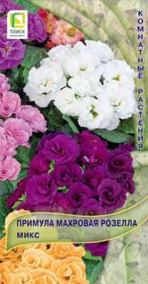 Примула Розелла микс 5шт