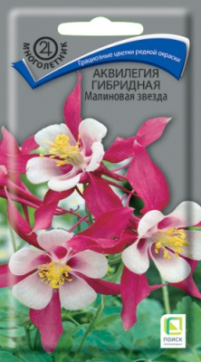 Аквилегия Малиновая звезда 0,05г