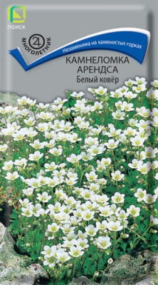 Камнеломка Арендса Белый ковер 0,01г