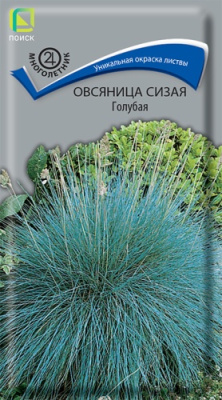 Овсяница Голубая сизая 0,1г