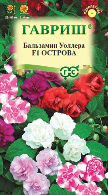 Бальзамин Острова Уоллера 4шт