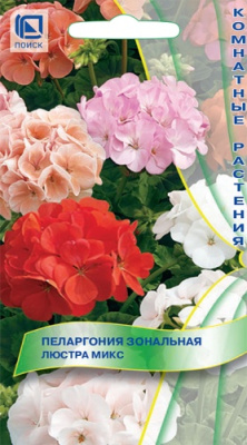 Пеларгония Люстра микс 5шт