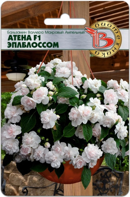 Бальзамин Валлера Атена Эплблоссом 8шт
