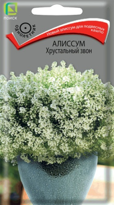 Алиссум Хрустальный звон 20шт