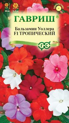 Бальзамин Тропический Уоллера 4шт