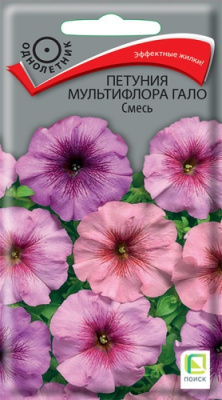 Петуния Гало смесь 10 шт