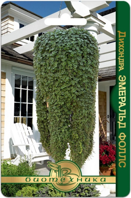 Дихондра Эмеральд Фоллс 5шт