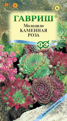 Молодило Каменная роза 0,01г Альпийская горка