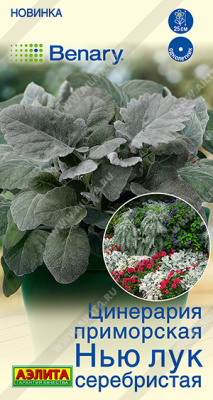 Цинерария Нью Лук серебристая 15шт