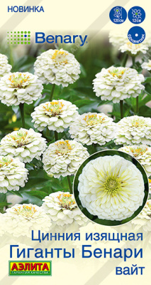 Цинния Гиганты Бенари вайт 7шт