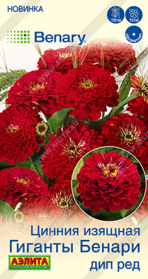 Цинния Гиганты Бенари дип ред 7шт