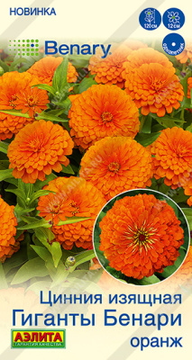 Цинния Гиганты Бенари оранж 7шт