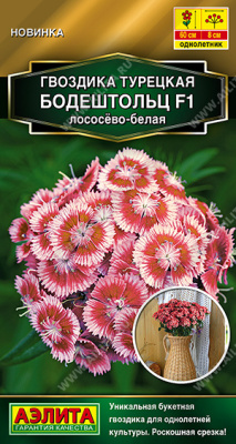 Гвоздика Бодештольц лососёво-белая турецкая 7шт