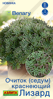 Очиток Лизард (седум) 5шт