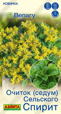 Очиток Спирит (седум) 5шт